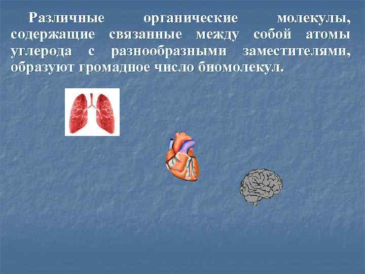 Различные органические молекулы, содержащие связанные между собой атомы углерода с разнообразными заместителями, образуют громадное