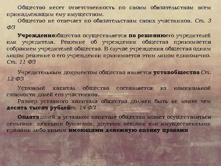 Общество несет ответственность по своим обязательствам всем принадлежащим ему имуществом. Общество не отвечает по