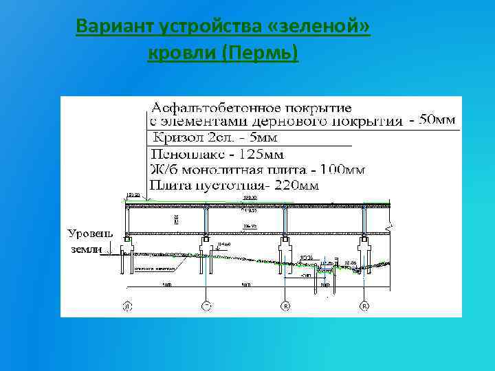 Вариант устройства «зеленой» кровли (Пермь) 