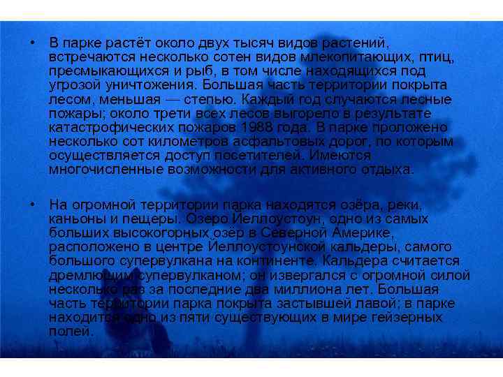  • В парке растёт около двух тысяч видов растений, встречаются несколько сотен видов