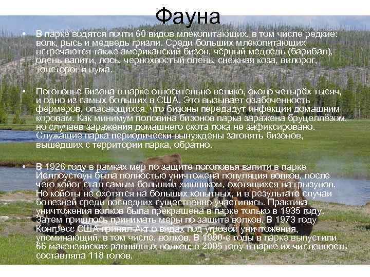 Фауна • В парке водятся почти 60 видов млекопитающих, в том числе редкие: волк,