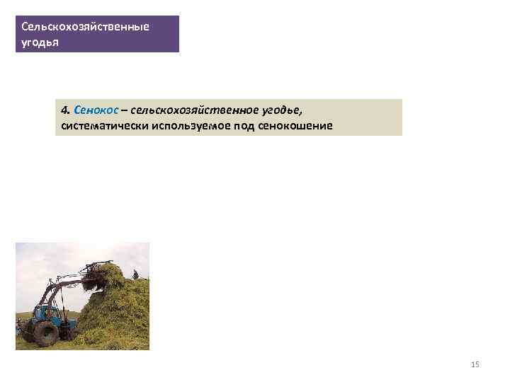 Сельскохозяйственные угодья 4. Сенокос – сельскохозяйственное угодье, систематически используемое под сенокошение 15 