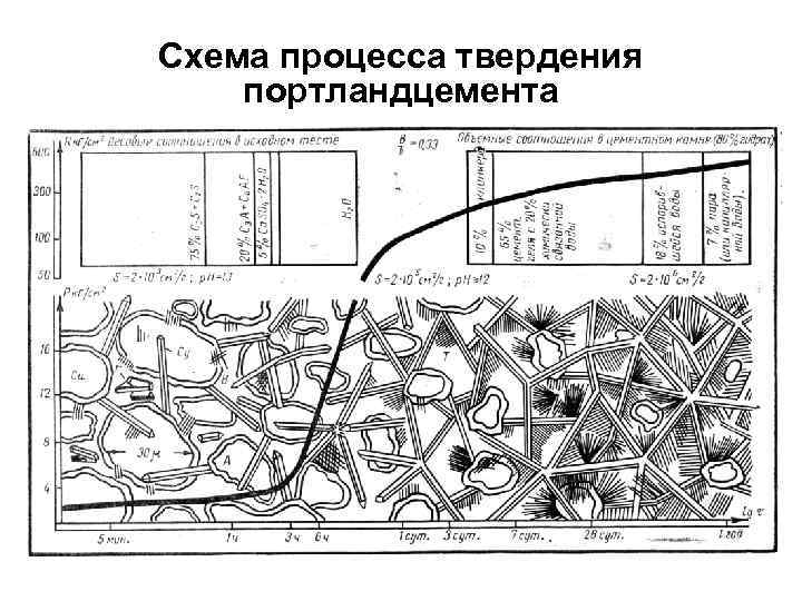 Схема процесса твердения портландцемента 