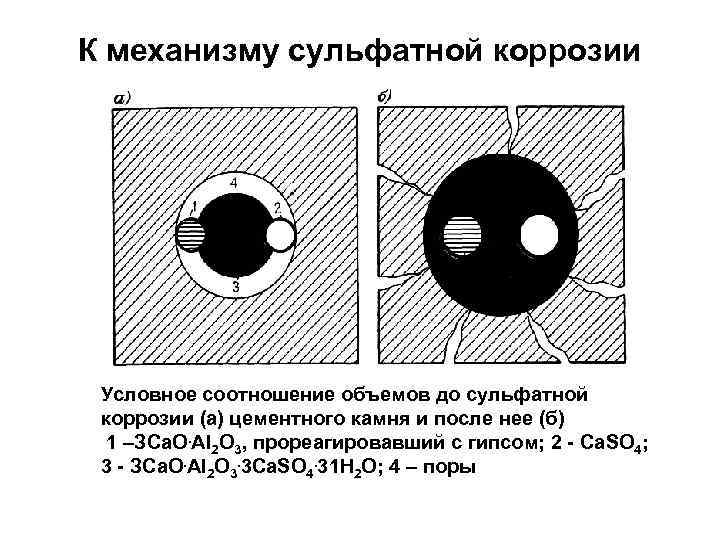 К механизму сульфатной коррозии Условное соотношение объемов до сульфатной коррозии (а) цементного камня и