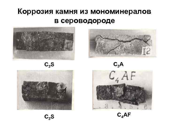 Коррозия камня из мономинералов в сероводороде С 3 S C 3 A C 4