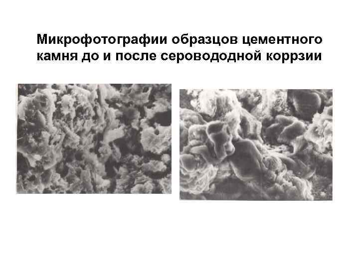 Микрофотографии образцов цементного камня до и после серовододной коррзии 