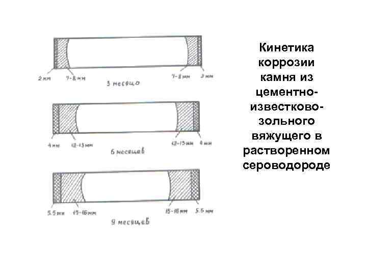 Кинетика коррозии камня из цементно известково зольного вяжущего в растворенном сероводороде 