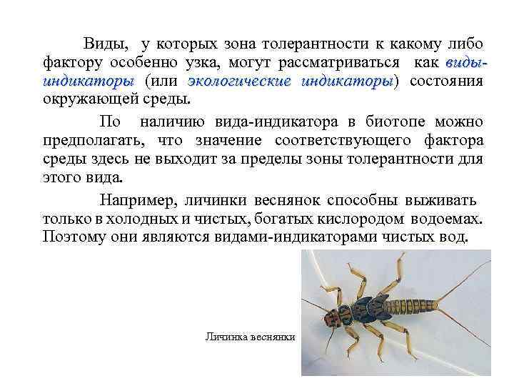 Виды, у которых зона толерантности к какому либо фактору особенно узка, могут рассматриваться как