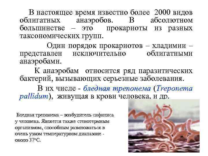 В настоящее время известно более 2000 видов облигатных анаэробов. В абсолютном большинстве – это