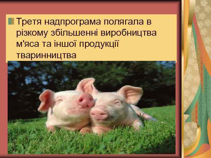 Третя надпрограма полягала в різкому збільшенні виробництва м'яса та іншої продукції тваринництва 
