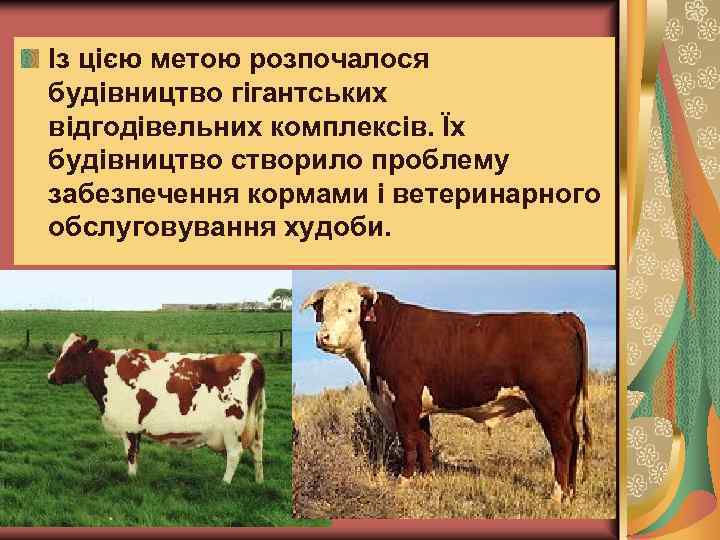 Із цією метою розпочалося будівництво гігантських відгодівельних комплексів. Їх будівництво створило проблему забезпечення кормами
