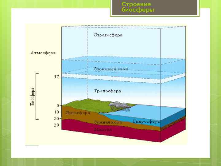 Строение биосферы 