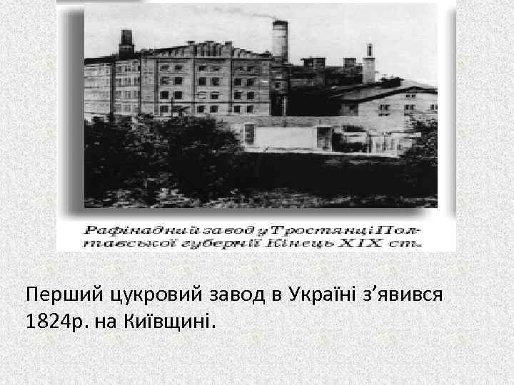 Перший цукровий завод в Україні з’явився 1824 р. на Київщині. 