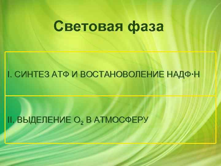 Световая фаза I. СИНТЕЗ АТФ И ВОСТАНОВОЛЕНИЕ НАДФ∙Н II. ВЫДЕЛЕНИЕ О 2 В АТМОСФЕРУ