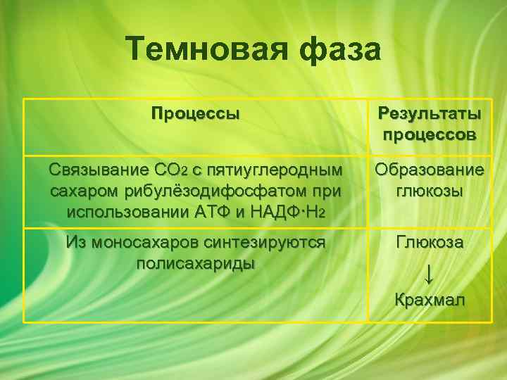 Темновая фаза Процессы Результаты процессов Связывание CO 2 с пятиуглеродным сахаром рибулёзодифосфатом при использовании