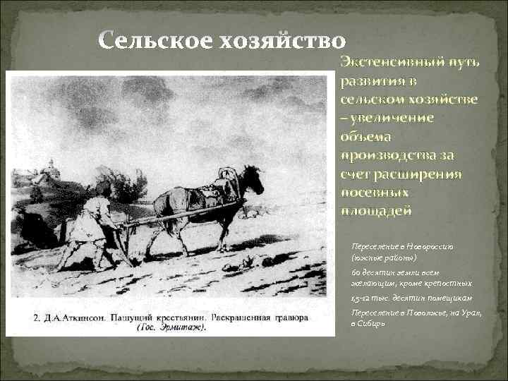 Сельское хозяйство Экстенсивный путь развития в сельском хозяйстве – увеличение объема производства за счет