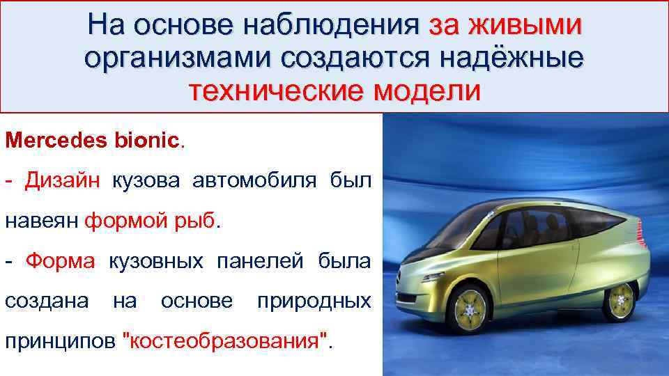 На основе наблюдения за живыми организмами создаются надёжные технические модели Mercedes bionic. - Дизайн
