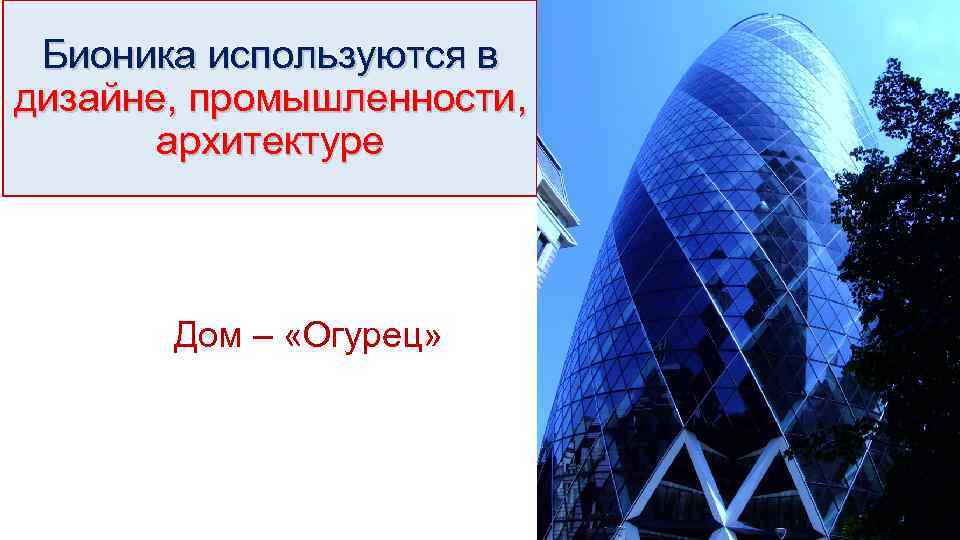 Бионика используются в дизайне, промышленности, архитектуре Дом – «Огурец» 