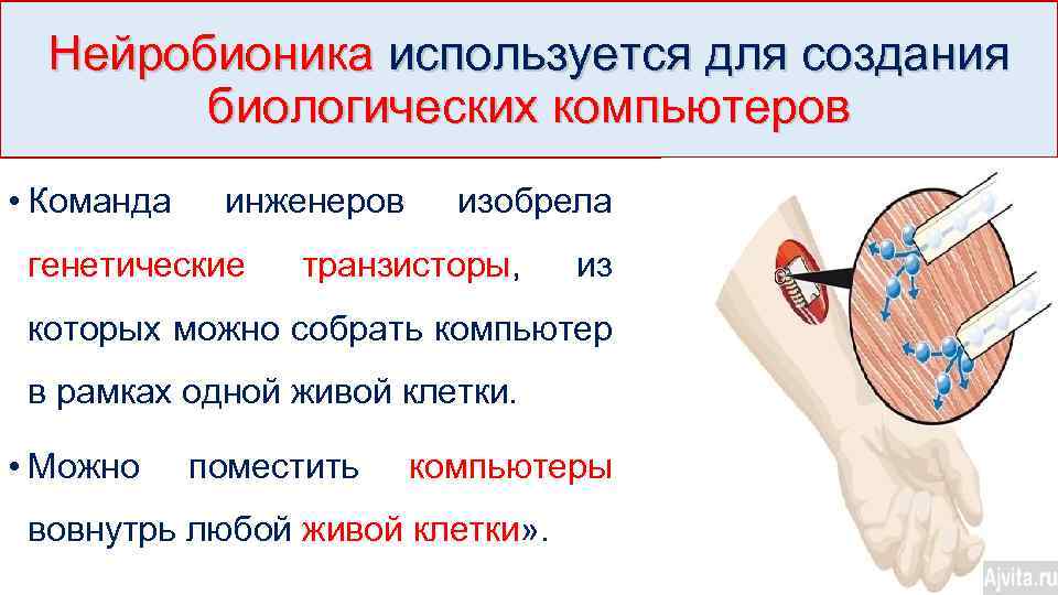 Нейробионика используется для создания биологических компьютеров • Команда инженеров генетические изобрела транзисторы, из которых