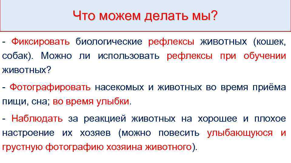 Что можем делать мы? - Фиксировать биологические рефлексы животных (кошек, собак). Можно ли использовать