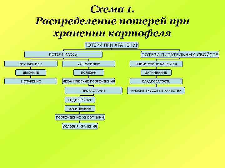 Схема 1. Распределение потерей при хранении картофеля ПОТЕРИ ПРИ ХРАНЕНИИ ПОТЕРИ ПИТАТЕЛЬНЫХ СВОЙСТВ ПОТЕРИ