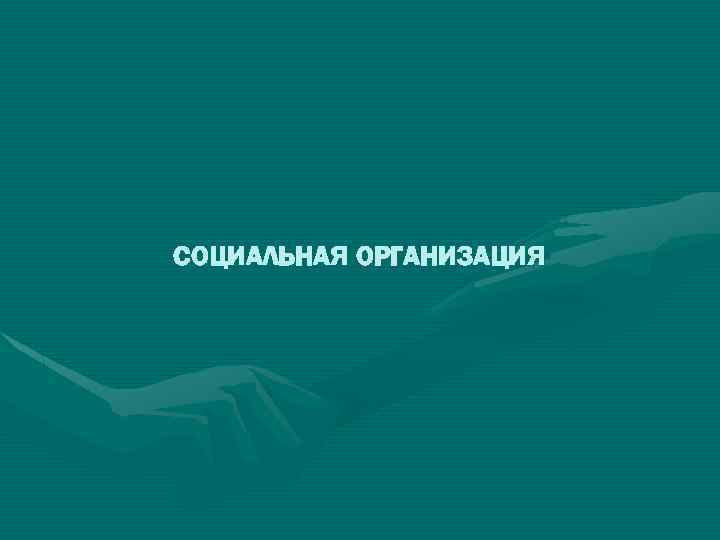 СОЦИАЛЬНАЯ ОРГАНИЗАЦИЯ 
