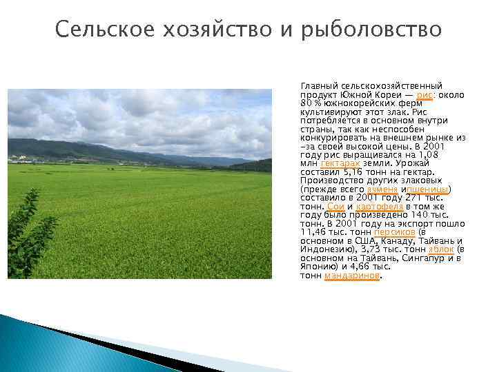 Сельское хозяйство и рыболовство Главный сельскохозяйственный продукт Южной Кореи — рис: около 80 %