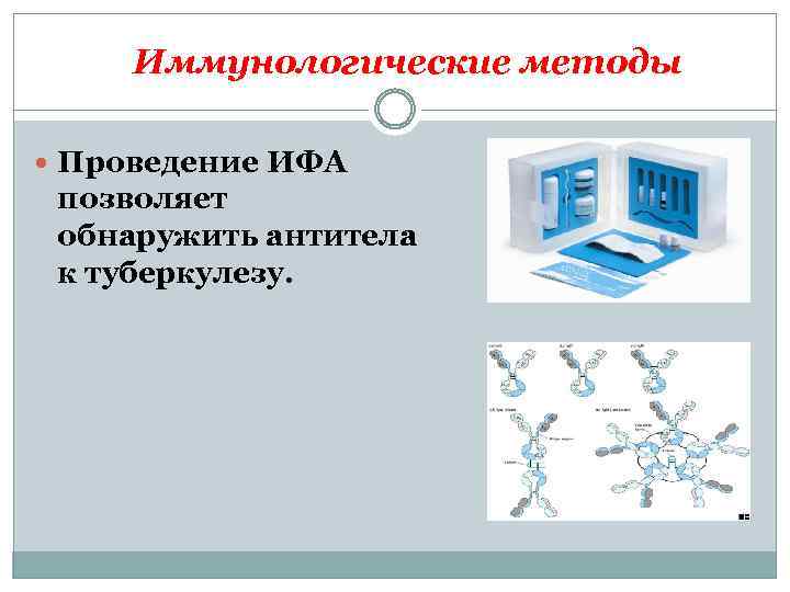  Иммунологические методы Проведение ИФА позволяет обнаружить антитела к туберкулезу. 