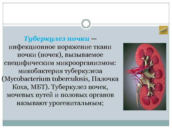Туберкулез почки — инфекционное поражение ткани почки (почек), вызываемое специфическим микроорганизмом: микобактерия туберкулеза (Mycobacterium