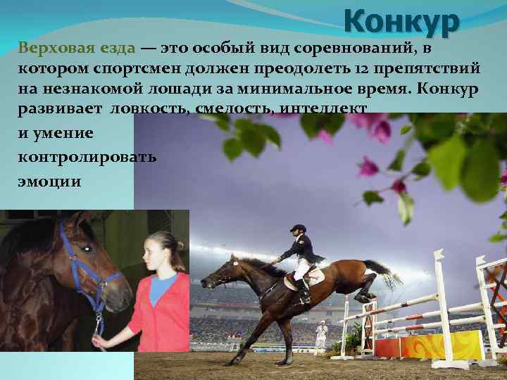  Конкур Верховая езда — это особый вид соревнований, в котором спортсмен должен преодолеть