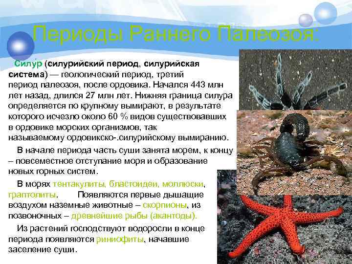 Периоды Раннего Палеозоя: Силу р (силурийский период, силурийская система) — геологический период, третий период