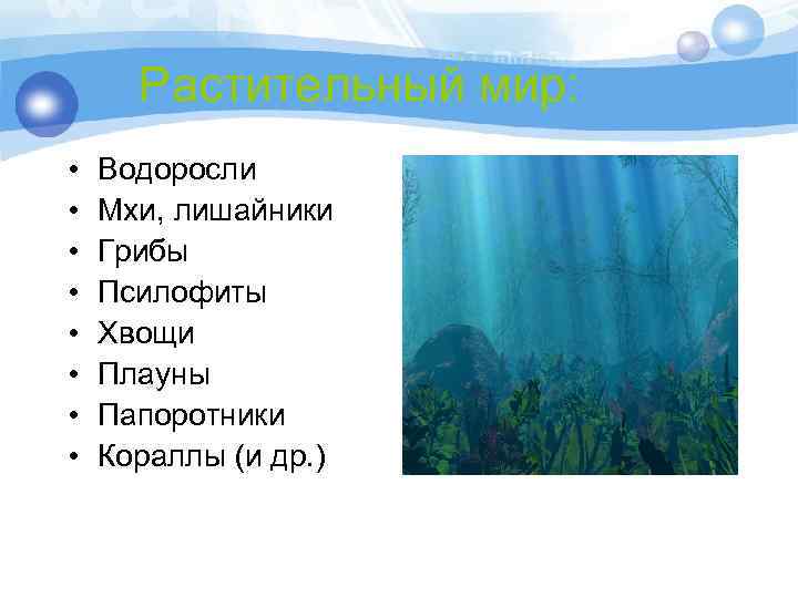 Растительный мир: • • Водоросли Мхи, лишайники Грибы Псилофиты Хвощи Плауны Папоротники Кораллы (и
