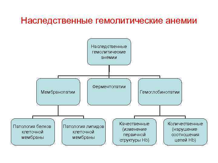 Наследственные гемолитические анемии Ферментопатии Мембранопатии Патология белков клеточной мембраны Патология липидов клеточной мембраны Гемоглобинопатии