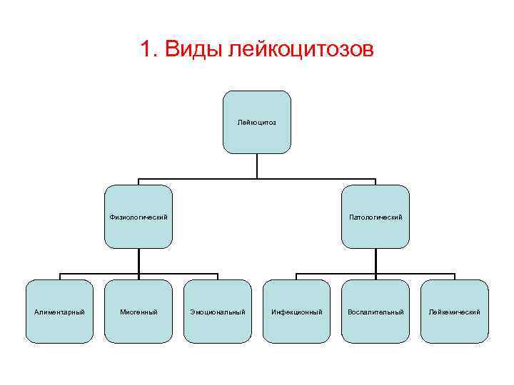 1. Виды лейкоцитозов Лейкоцитоз Физиологический Алиментарный Миогенный Патологический Эмоциональный Инфекционный Воспалительный Лейкемический 