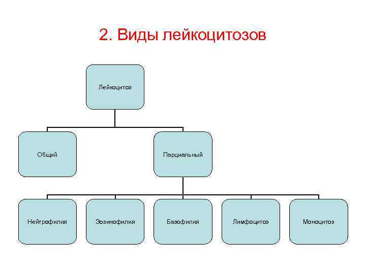 2. Виды лейкоцитозов Лейкоцитоз Общий Нейтрофилия Парциальный Эозинофилия Базофилия Лимфоцитоз Моноцитоз 