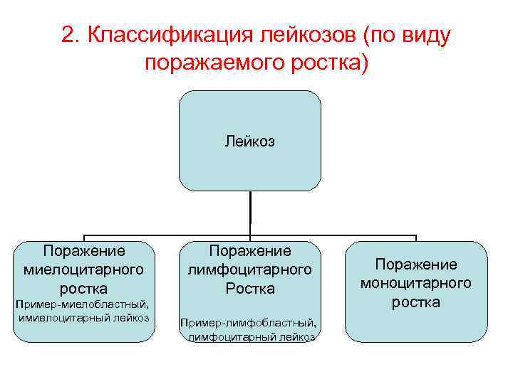 2. Классификация лейкозов (по виду поражаемого ростка) Лейкоз Поражение миелоцитарного ростка Пример-миелобластный, имиелоцитарный лейкоз