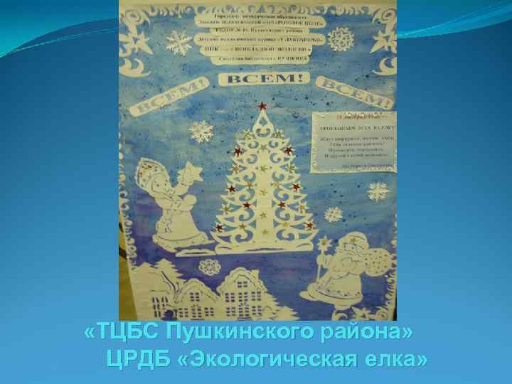  «ТЦБС Пушкинского района» ЦРДБ «Экологическая елка» 