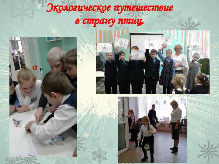 Экологическое путешествие в страну птиц. 