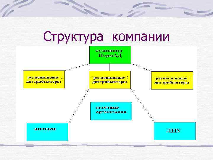 Структура компании 