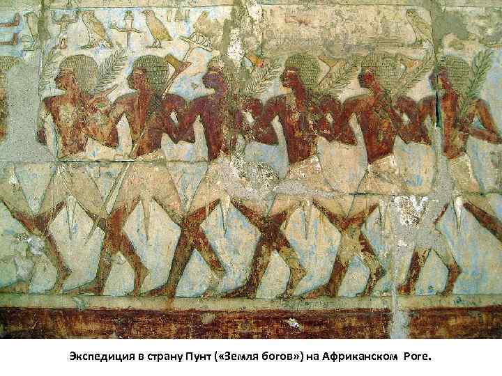 Экспедиция в страну Пунт ( «Земля богов» ) на Африканском Роге. 