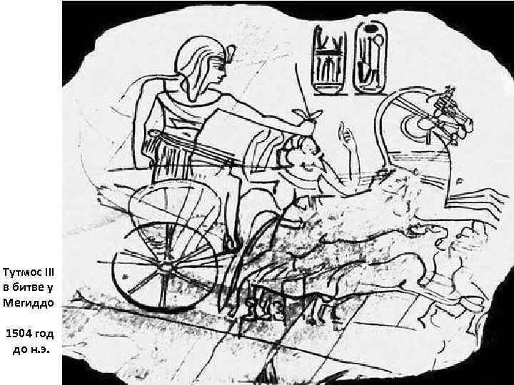 Тутмос III в битве у Мегиддо 1504 год до н. э. 