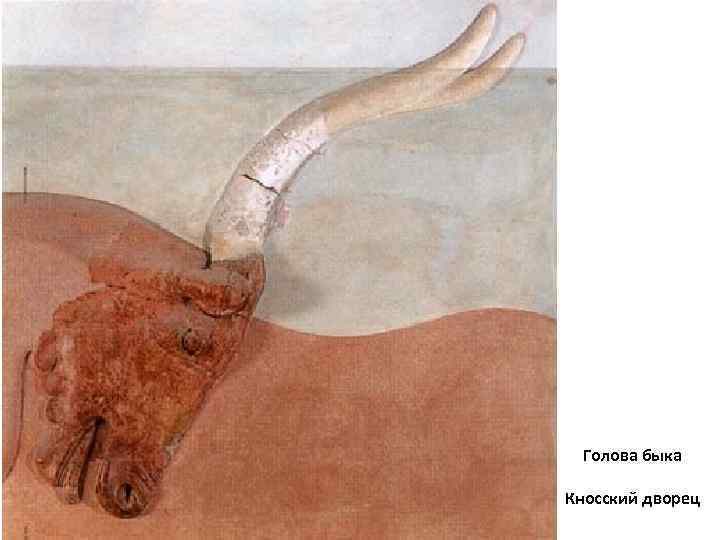 Голова быка Кносский дворец 