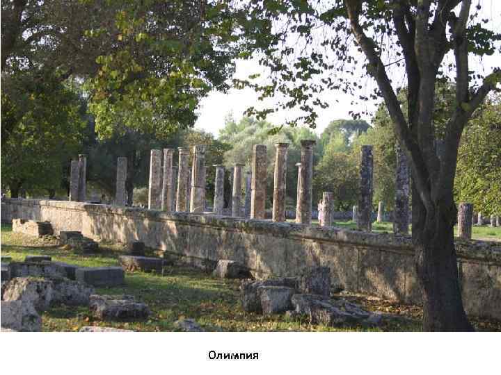 Олимпия 