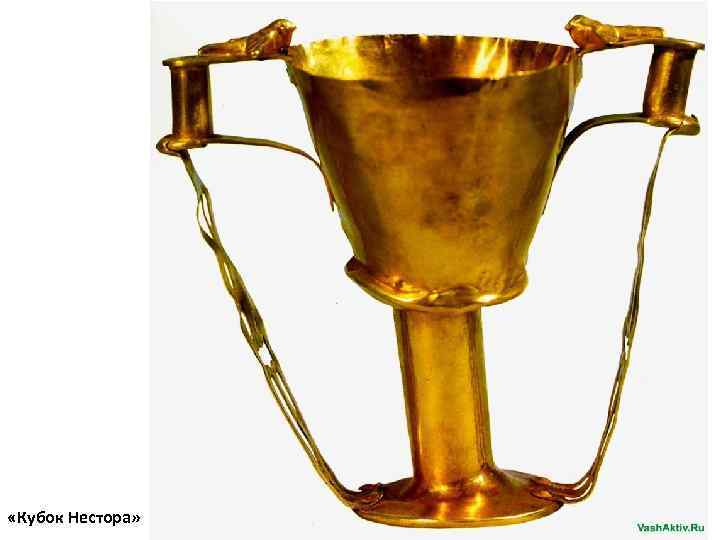  «Кубок Нестора» 