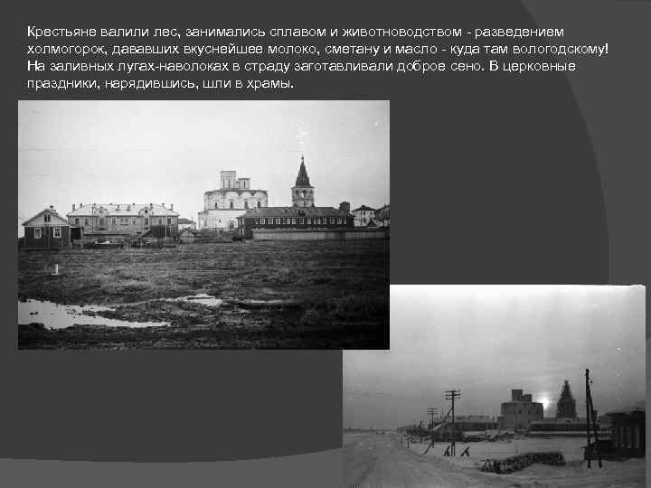 Крестьяне валили лес, занимались сплавом и животноводством - разведением холмогорок, дававших вкуснейшее молоко, сметану