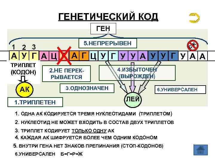 ГЕНЕТИЧЕСКИЙ КОД ГЕН 5. НЕПРЕРЫВЕН 1 2 3 c к А У Г А