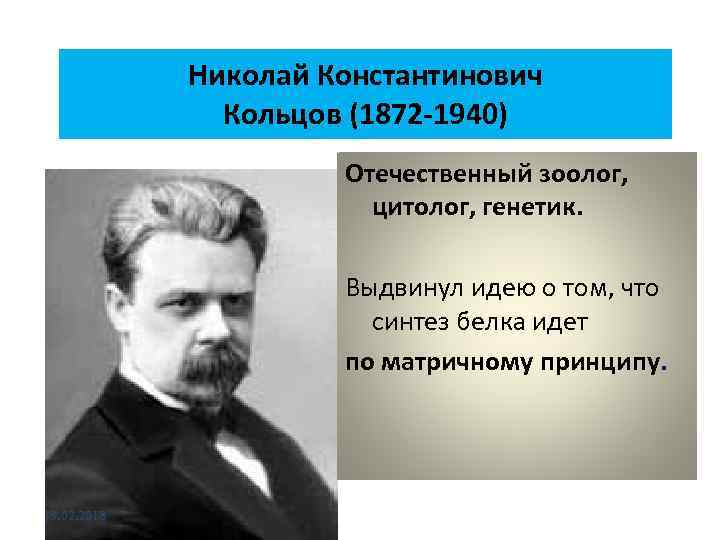 Николай Константинович Кольцов (1872 -1940) Отечественный зоолог, цитолог, генетик. Выдвинул идею о том, что