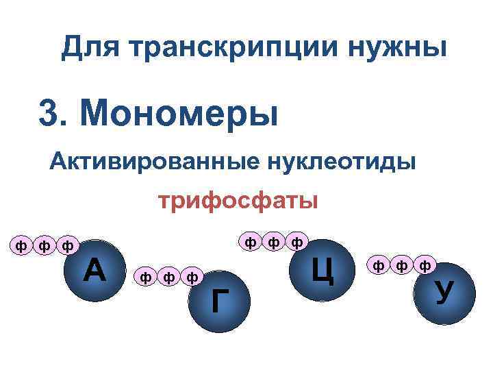 Для транскрипции нужны 3. Мономеры Активированные нуклеотиды трифосфаты ф ф ф А ф ф