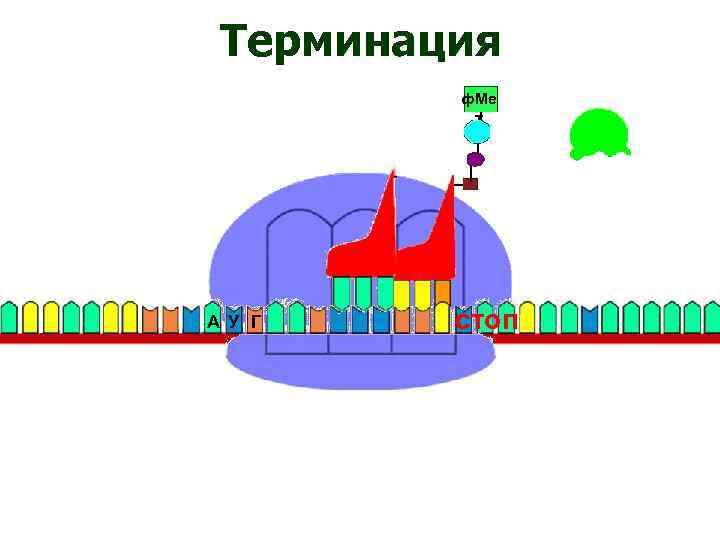 Терминация ф. Ме т А У Г стоп 