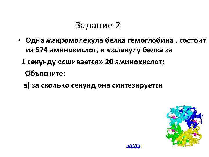 Задание 2 • Одна макромолекула белка гемоглобина , состоит из 574 аминокислот, в молекулу